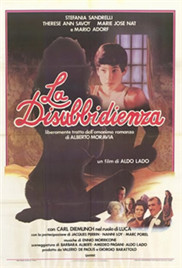 ZOOM人马OKZOOM功能介绍