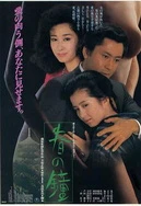 国产风流老太婆大BBBHD视频