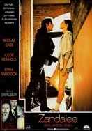 美女视频网站免费观看视频