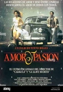 美女脱内衣18禁免费看