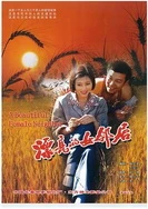 美女视频黄频a免费高清不卡